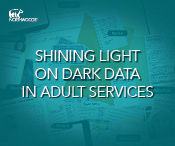 Traverse-dark-data-ebook-adult-services-thumbnail.png